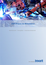 ERP-Praxis im Mittelstand