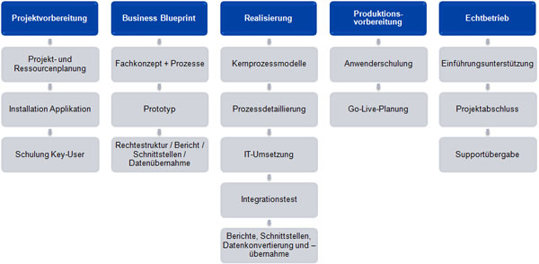 Systemeinführung  heute