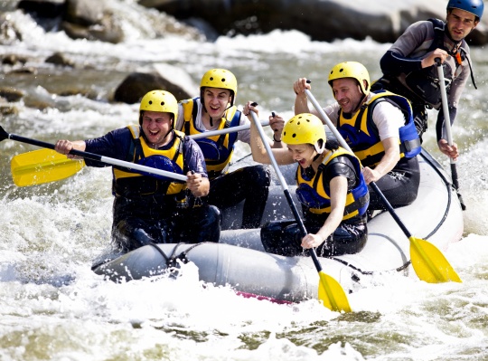 Team-Führung und Team-Building in Software-Projekten