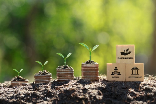 Nachhaltigkeit mit Business Software