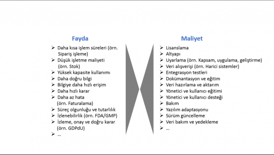 ERP_fayda_maliyet