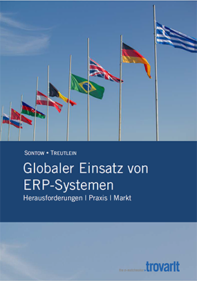 erp-global-einsetzen