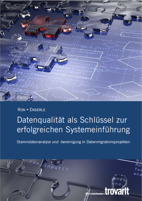 Datenmigration bei der Software-Implementierung