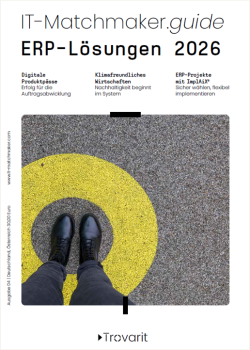 ERP-Guide-Titel