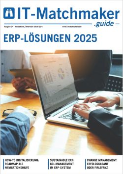 erp-guide-rahmen-765x1080