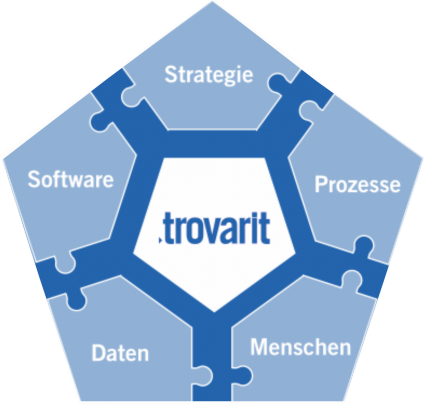 Trovarit-Beratung Gestaltungsfelder 