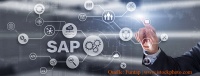 sap-partner-guide